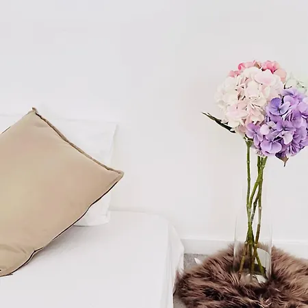 Homestay szállás Rozsa Budapest
